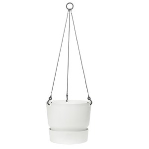 Greenville Hanging Basket - 24cm