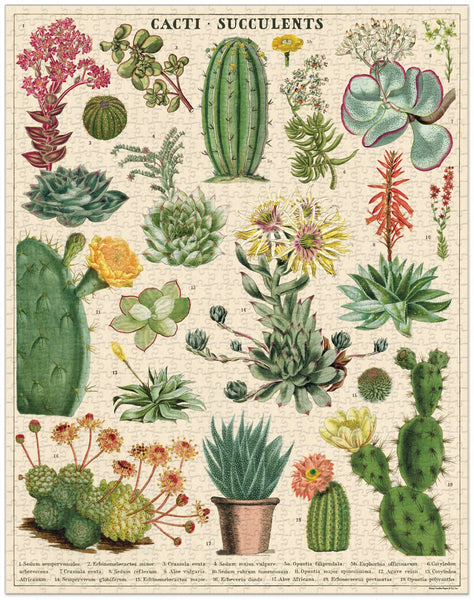 1000 Piece Vintage Cacti & Succulents Puzzle