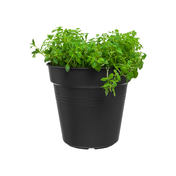 Basic Grow Pot - 15cm